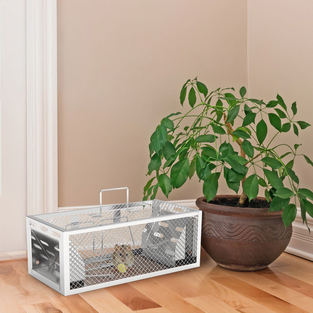 White wire pet carrier next to a potted plant on a wooden floor.