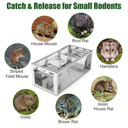 Mouse trap with images of various small rodents around it on a white background