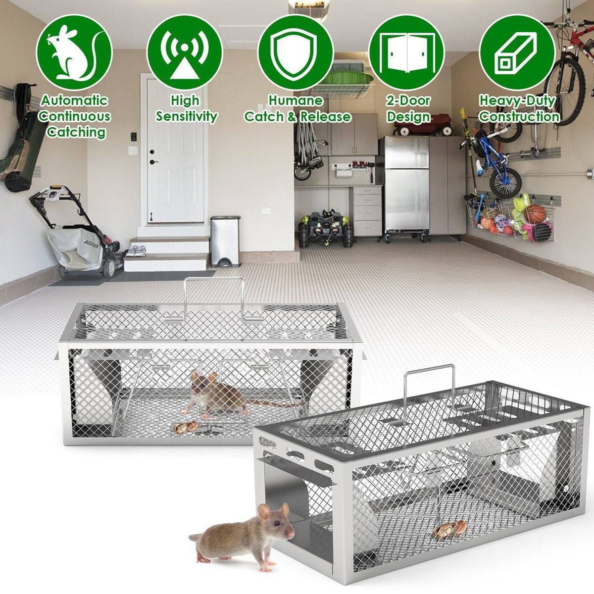 Mouse traps in a garage setting with features highlighted.